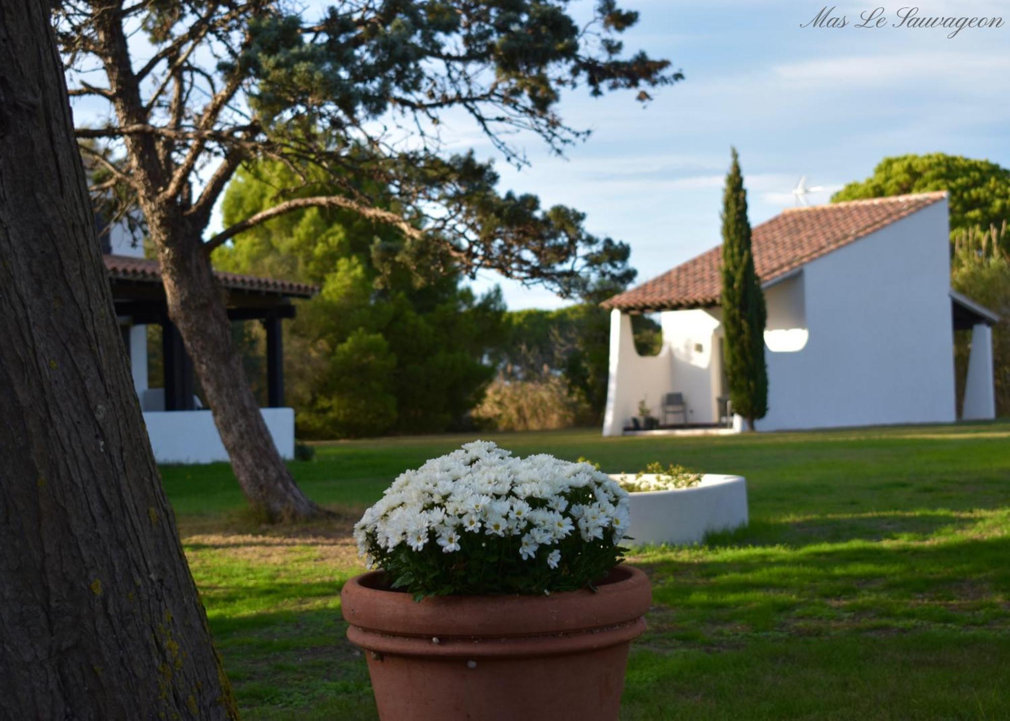 Mas Mls Hotel Saintes-Maries-de-la-Mer Kültér fotó